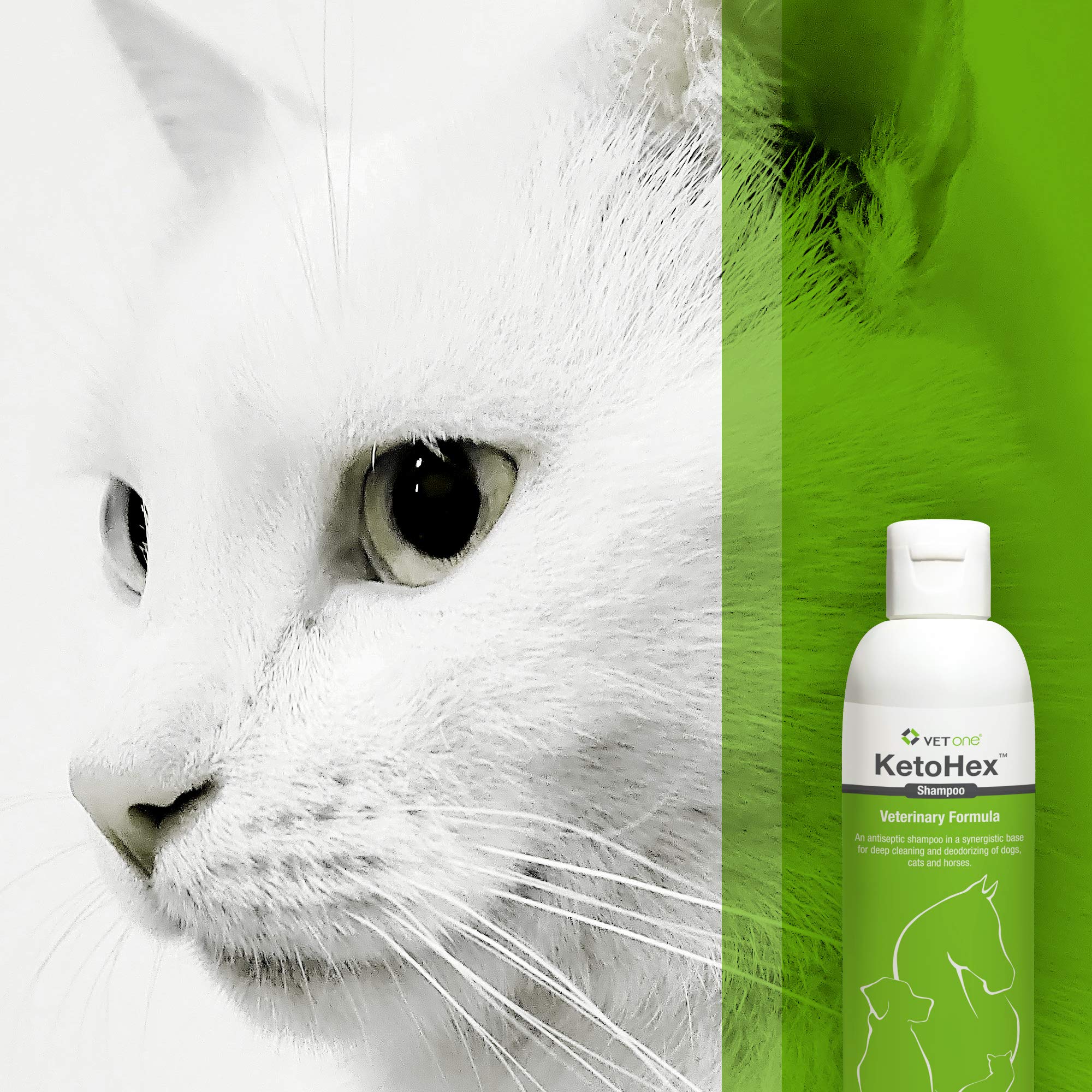 Vet One Shampoo shown in a close-up product view.
