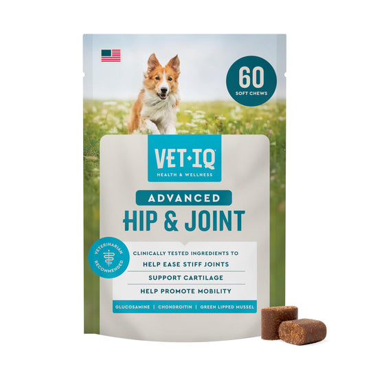 VETIQ Advanced Hip & Joint Chews bag shown from the front.