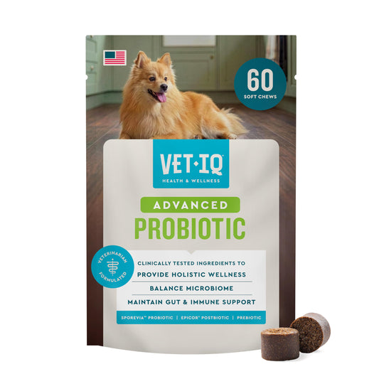 VETIQ Advanced Probiotic soft chews shown with the front of the product package.