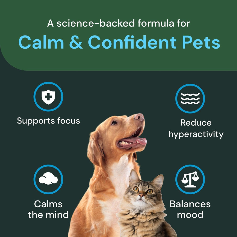 VetriScience Calm & Confident Chews shown with the pack count in focus.
