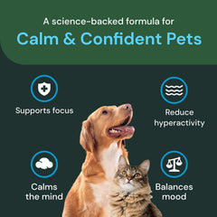 VetriScience Calm & Confident Chews shown with the pack count in focus.