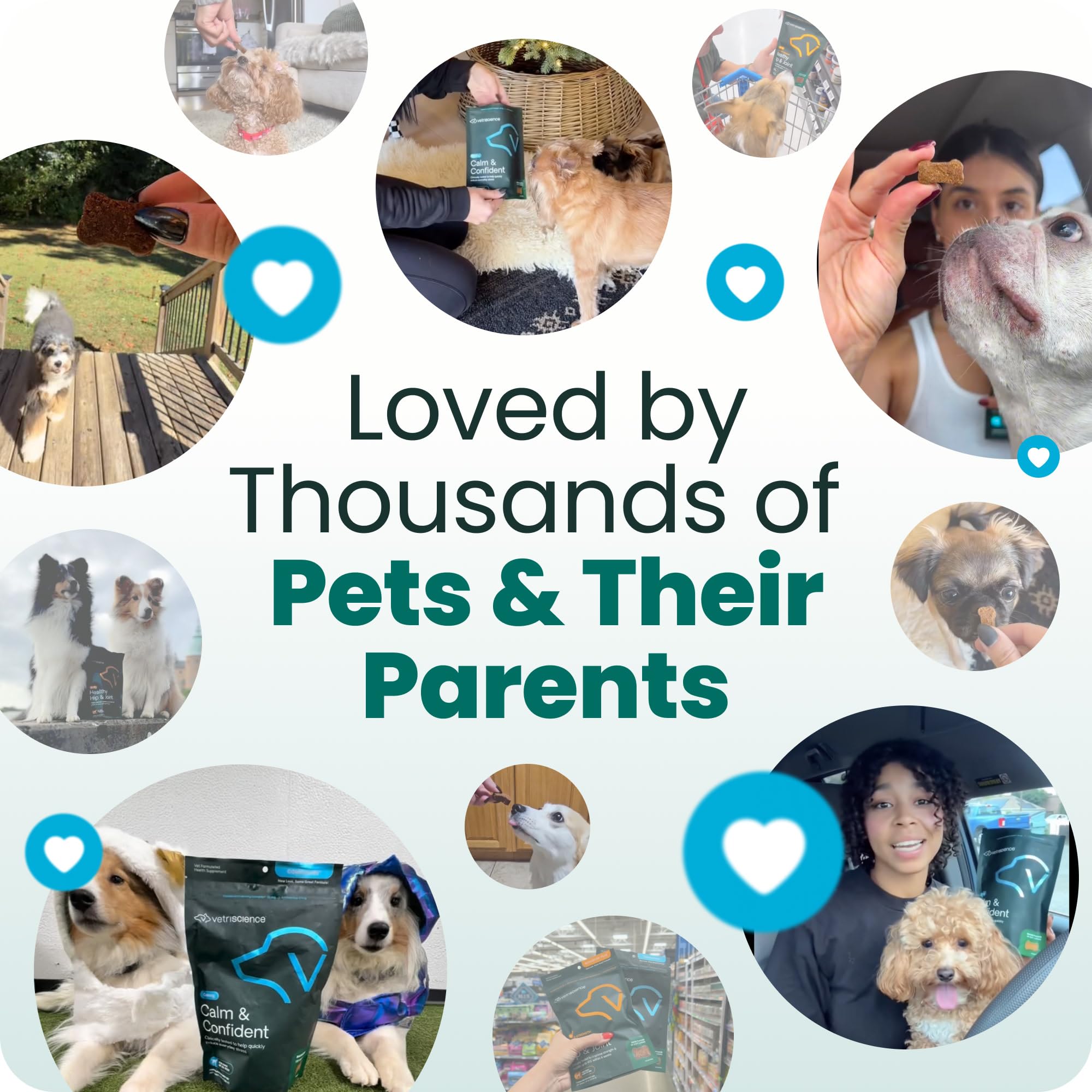 VetriScience Calm & Confident dog calming chews shown as a 60-count product.