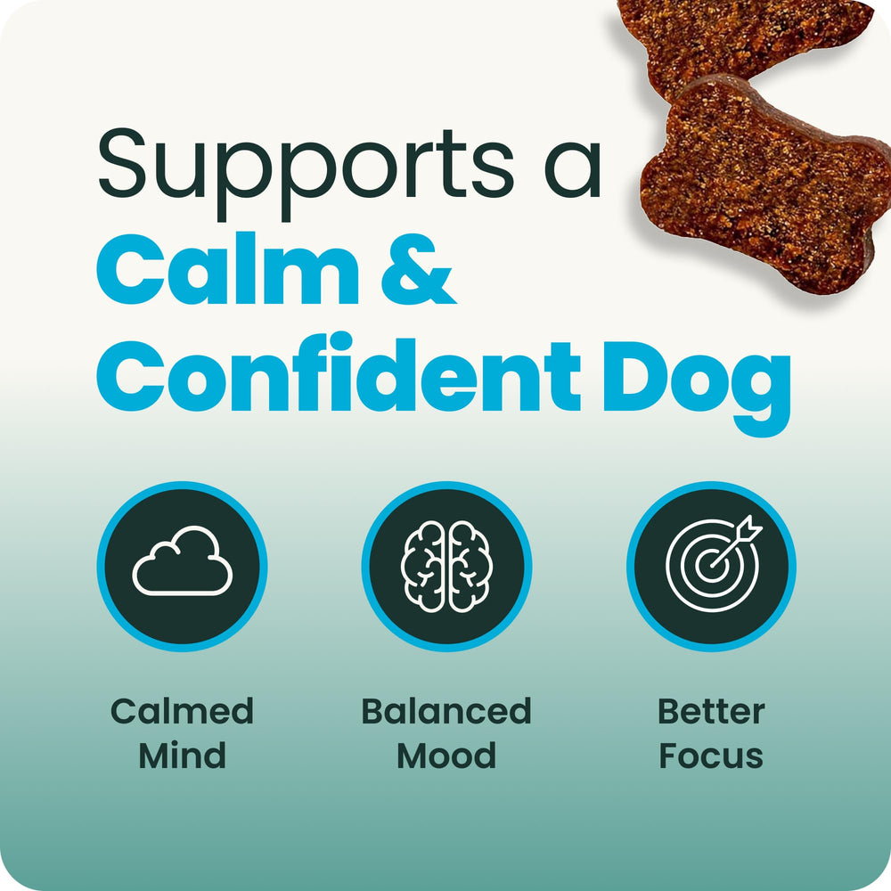 A dog receives a VetriScience Calm & Confident calming chew.