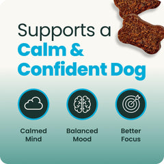 A dog receives a VetriScience Calm & Confident calming chew.