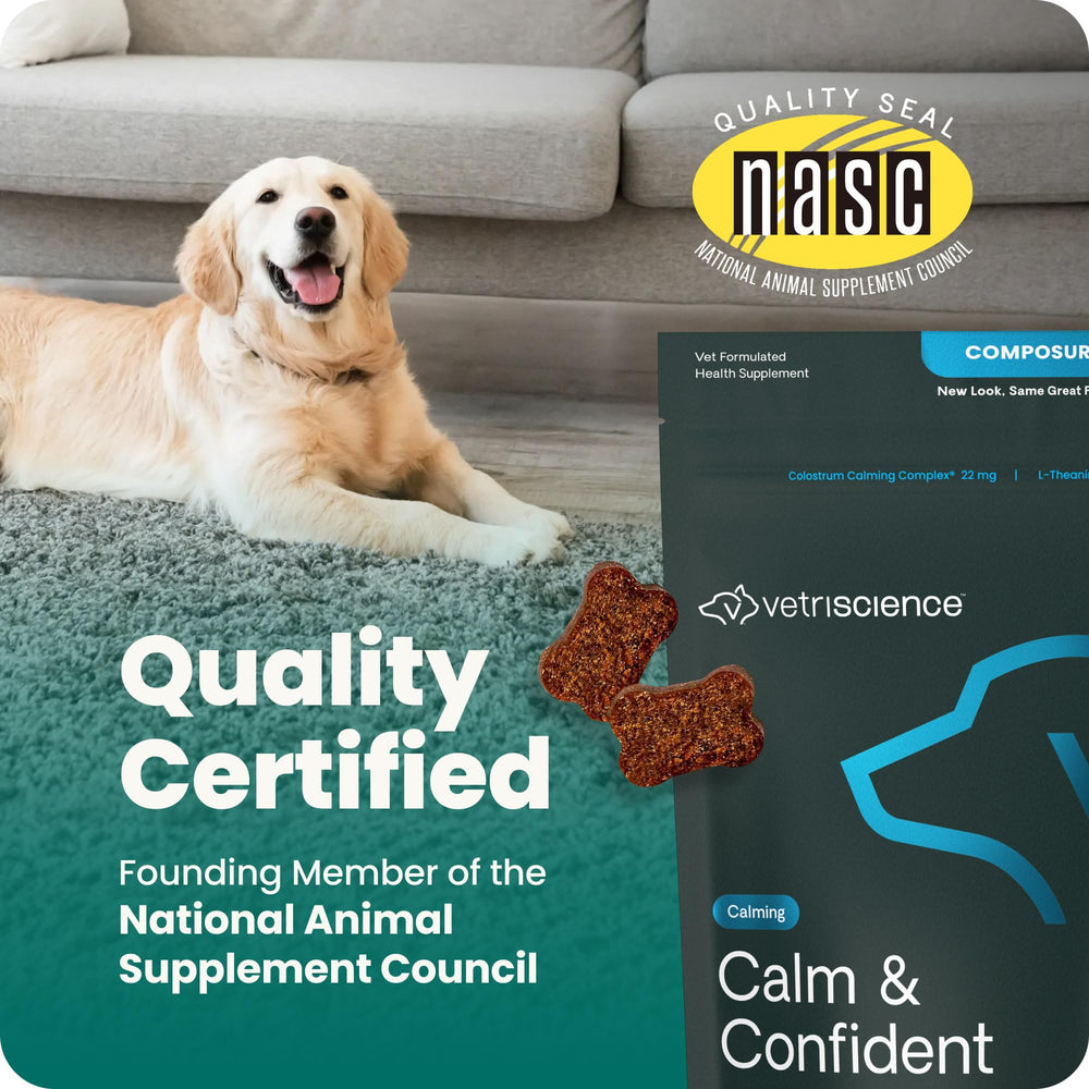VetriScience Calm & Confident dog calming chews for a dog during grooming.