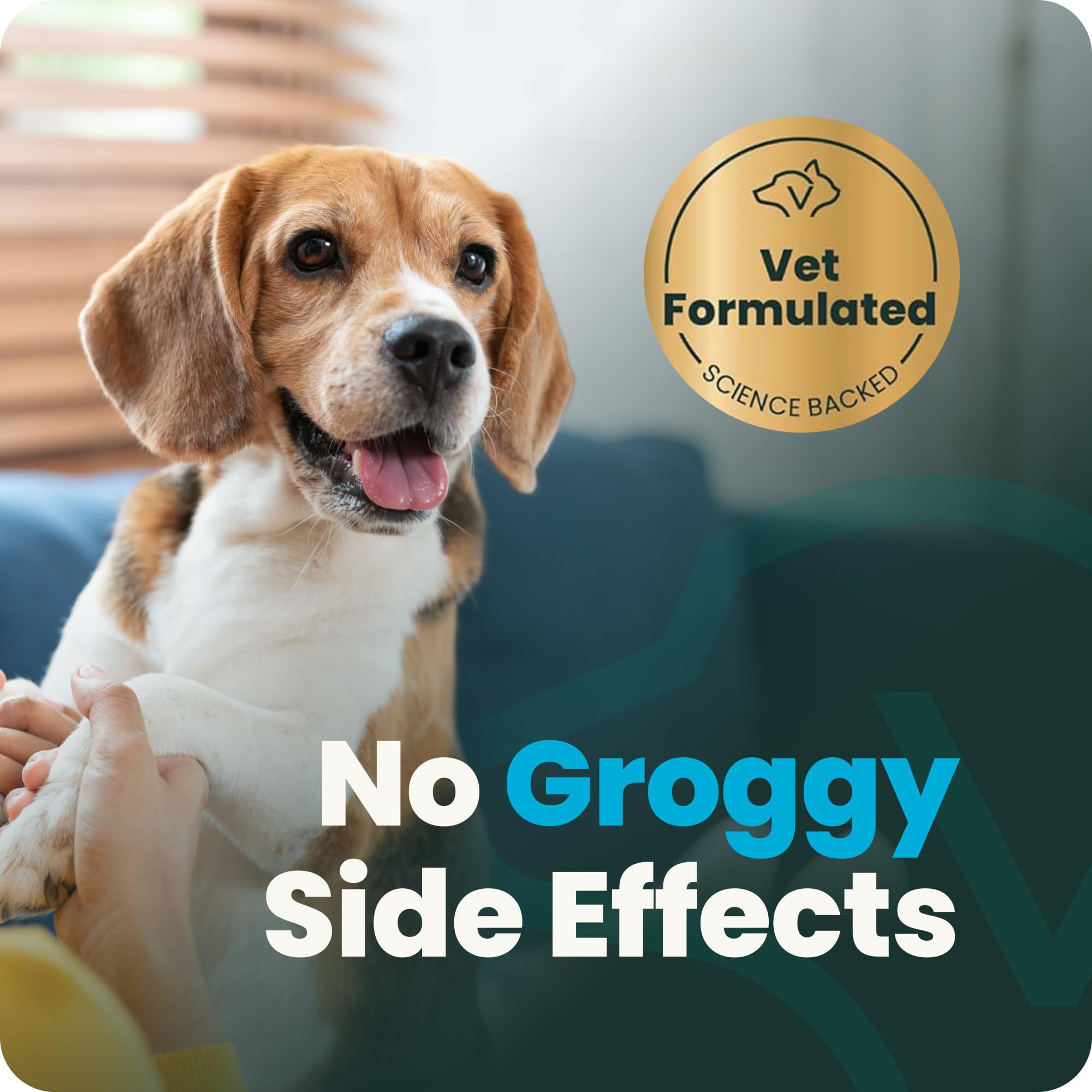 VetriScience Calm & Confident dog calming chews with the formula ingredients in focus.