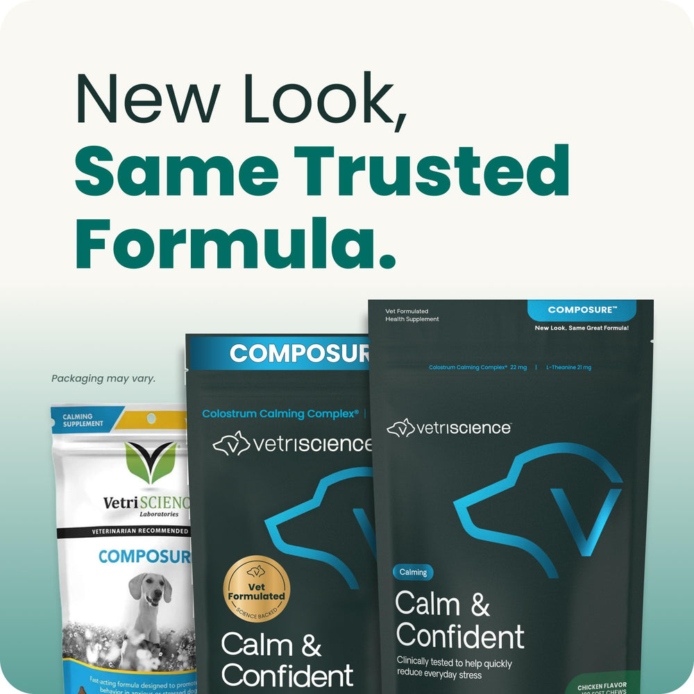 VetriScience Calm & Confident dog calming chews for a dog facing storm-related stress.