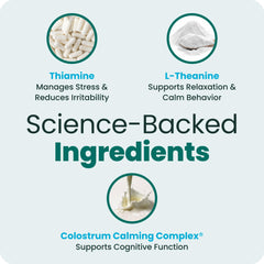 VetriScience Calm & Confident dog calming chews for supporting a dog during travel.