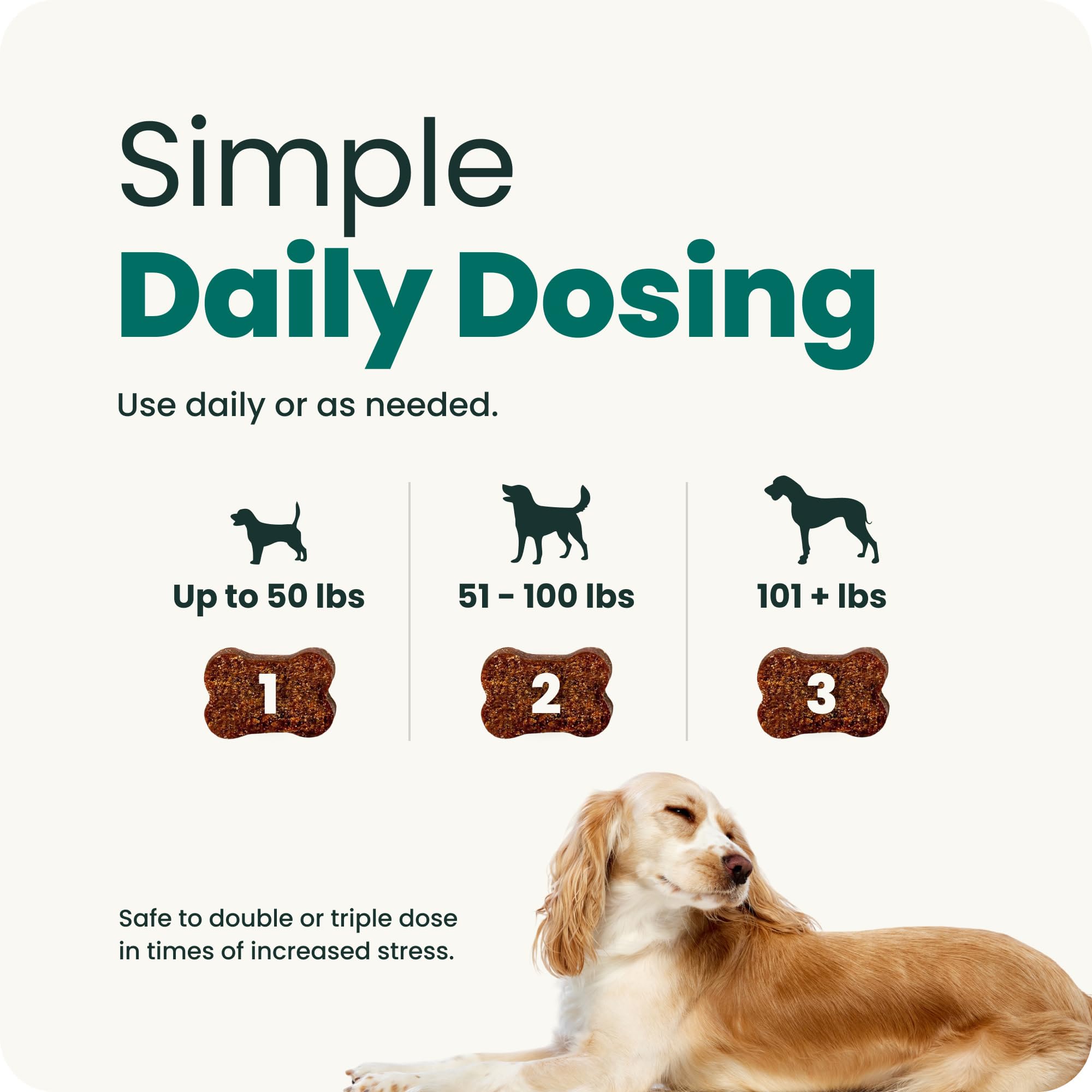 VetriScience Calm & Confident dog calming chews for support around a vet visit.