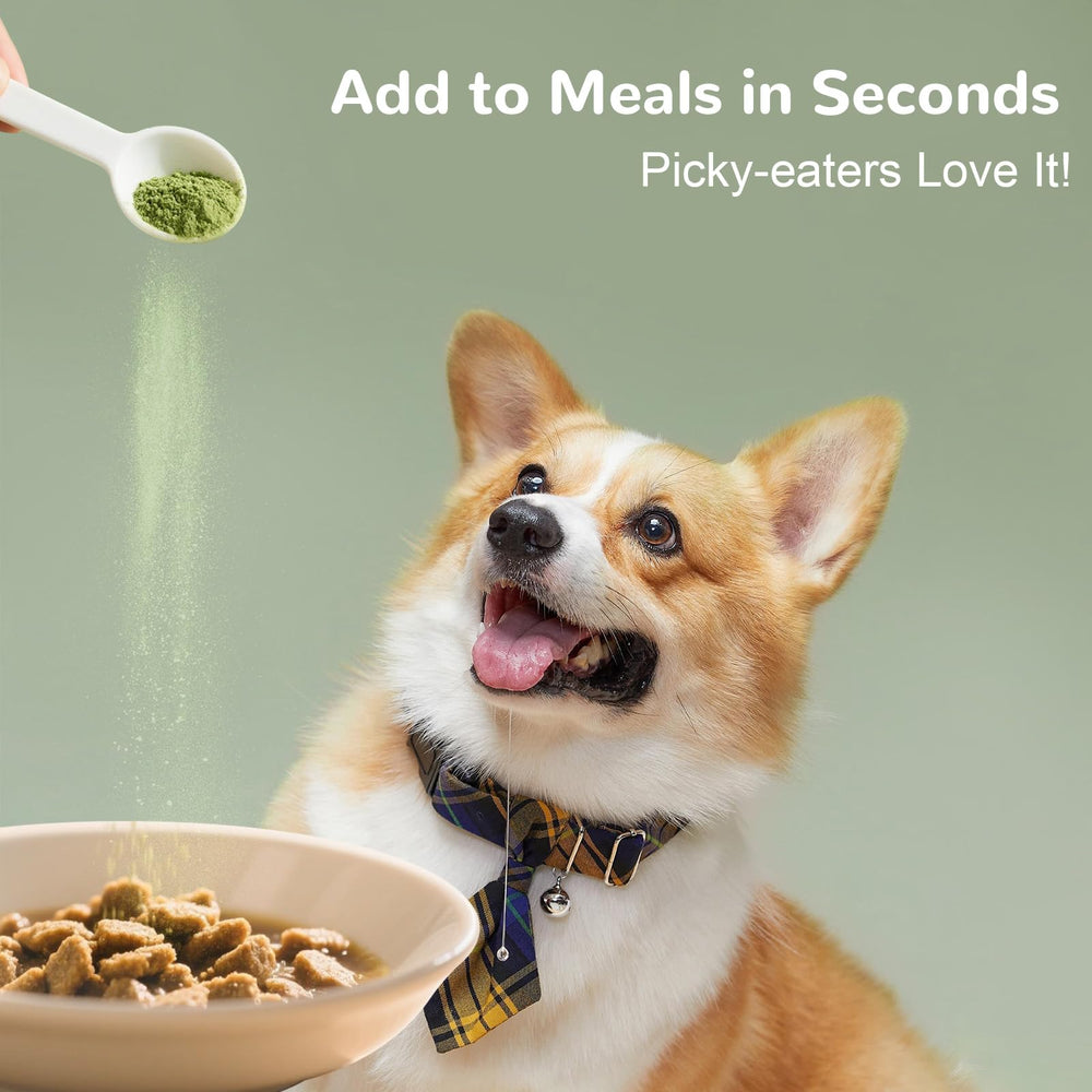 Vetriuntrix Dog Teeth Cleaning Powder shown as part of a daily feeding routine.