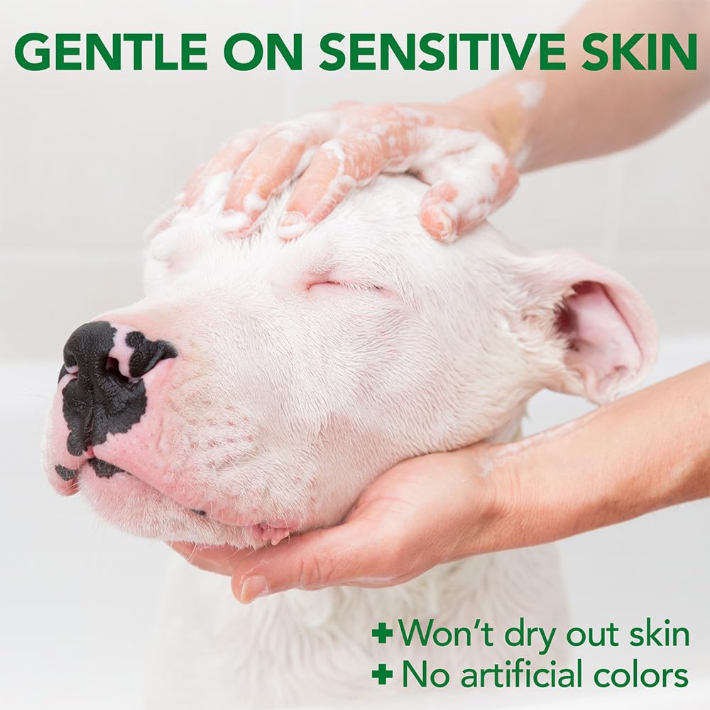 Vet's Best Allergy Itch Relief Dog Shampoo being used during a dog bath.