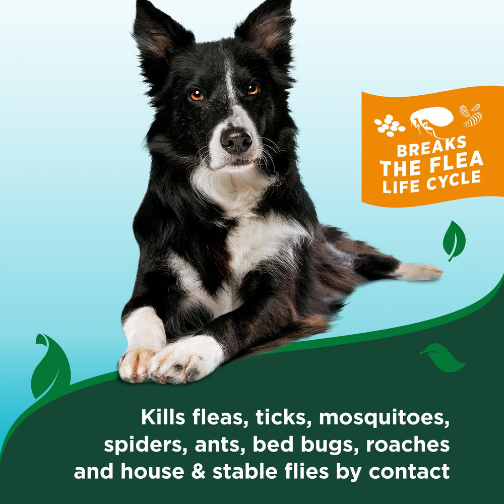 Vet’s Best flea and tick shampoo bottle shown from an alternate angle.