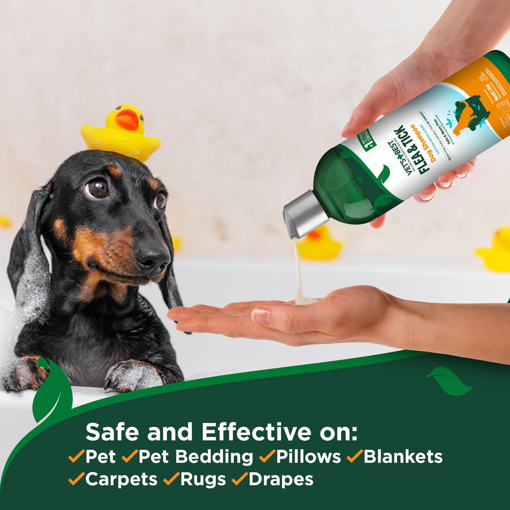 Vet’s Best flea and tick shampoo in its 12 oz bottle.
