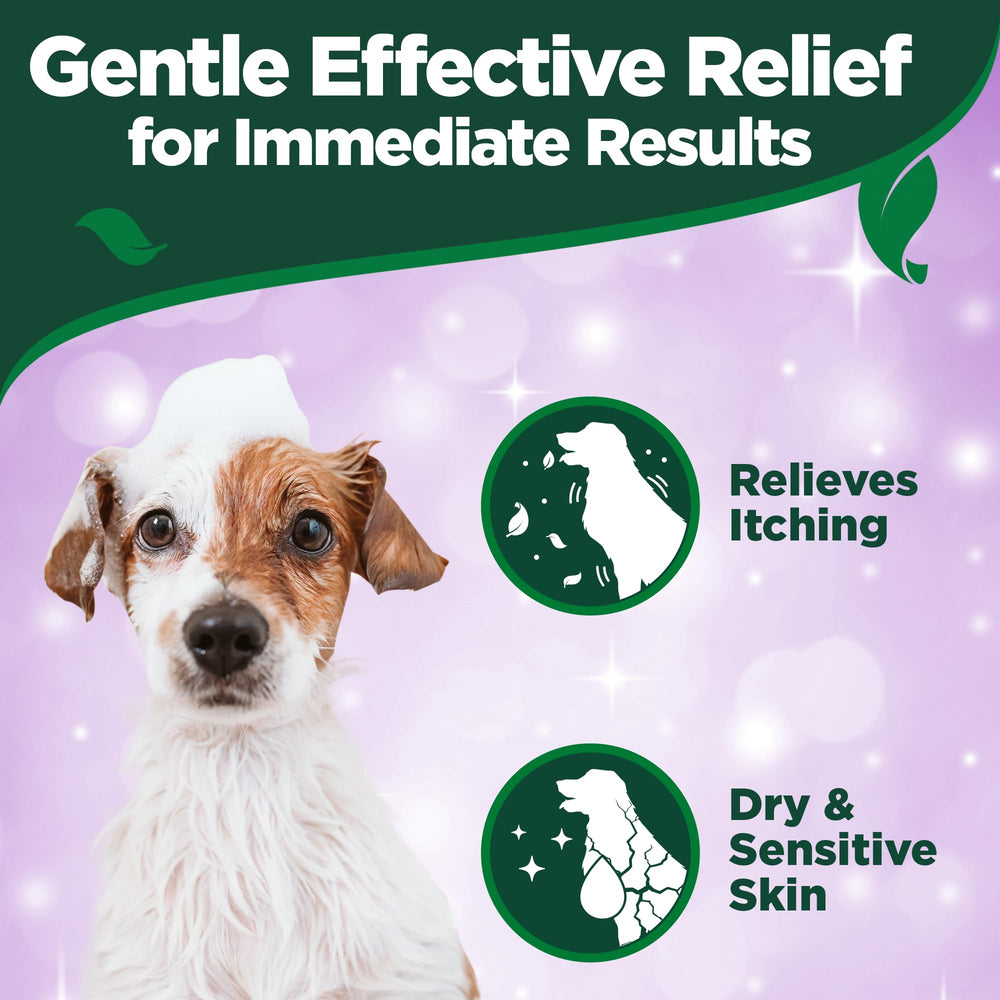 Vet’s Best Hypo-Allergenic Dog Shampoo label highlighting its ingredients.