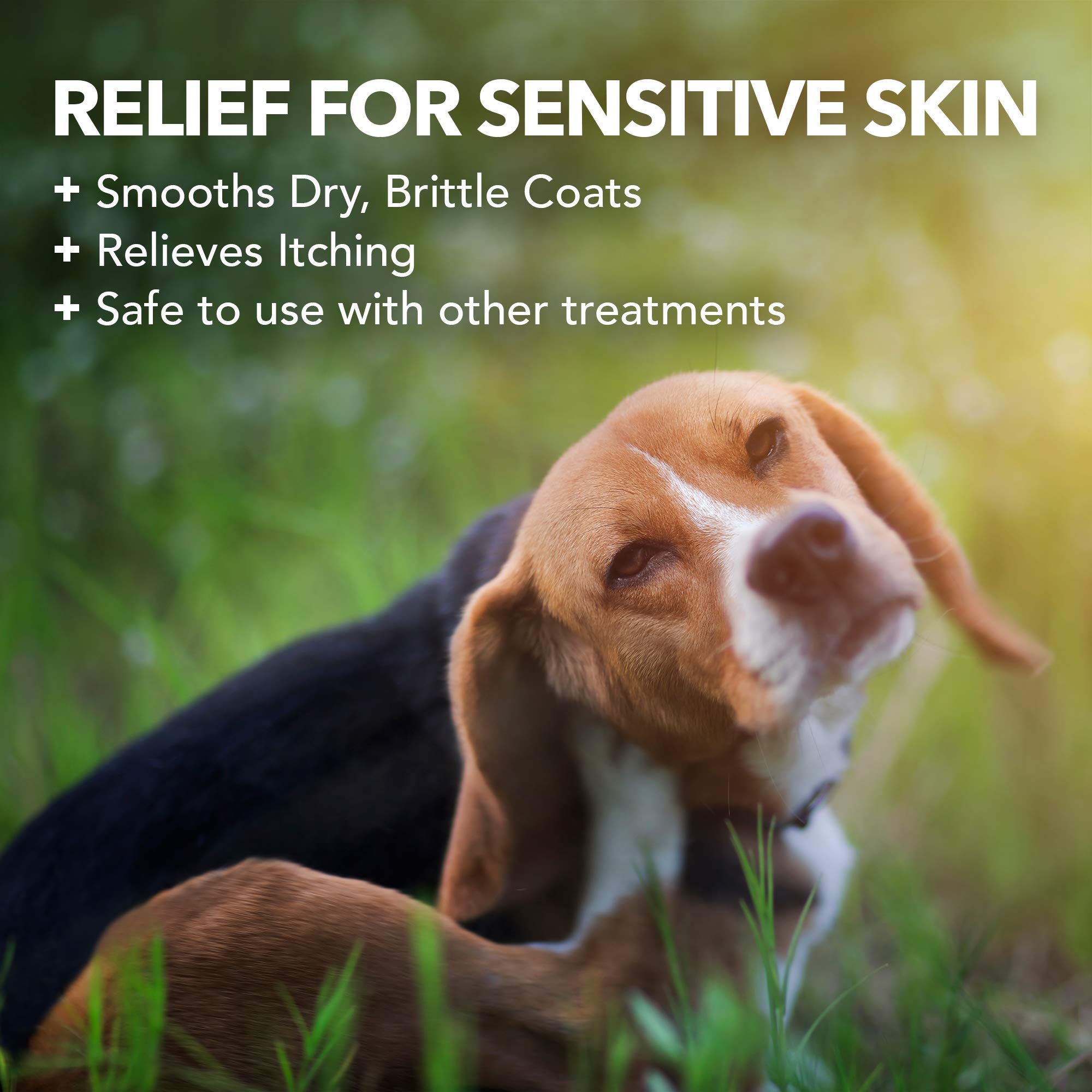 Vet’s Best Hypo-Allergenic Dog Shampoo packaging shown at an angle.