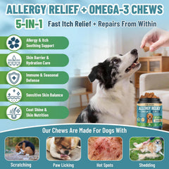 A dog takes a VICSOM Dog Allergy Chew as a chewable supplement.
