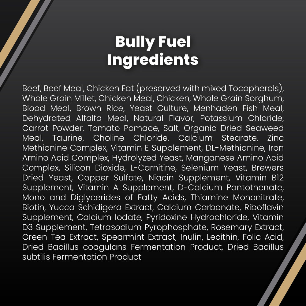 VICTOR Bully Fuel dry dog food shown as a serving of the dry recipe.