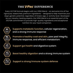 VICTOR Hi-Pro Plus puppy dog food image highlighting beef as the first ingredient.