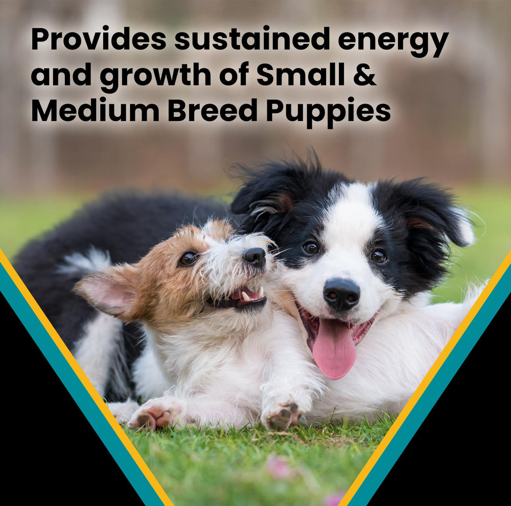 VICTOR Hi-Pro Plus puppy dog food image highlighting DHA for brain and vision development.