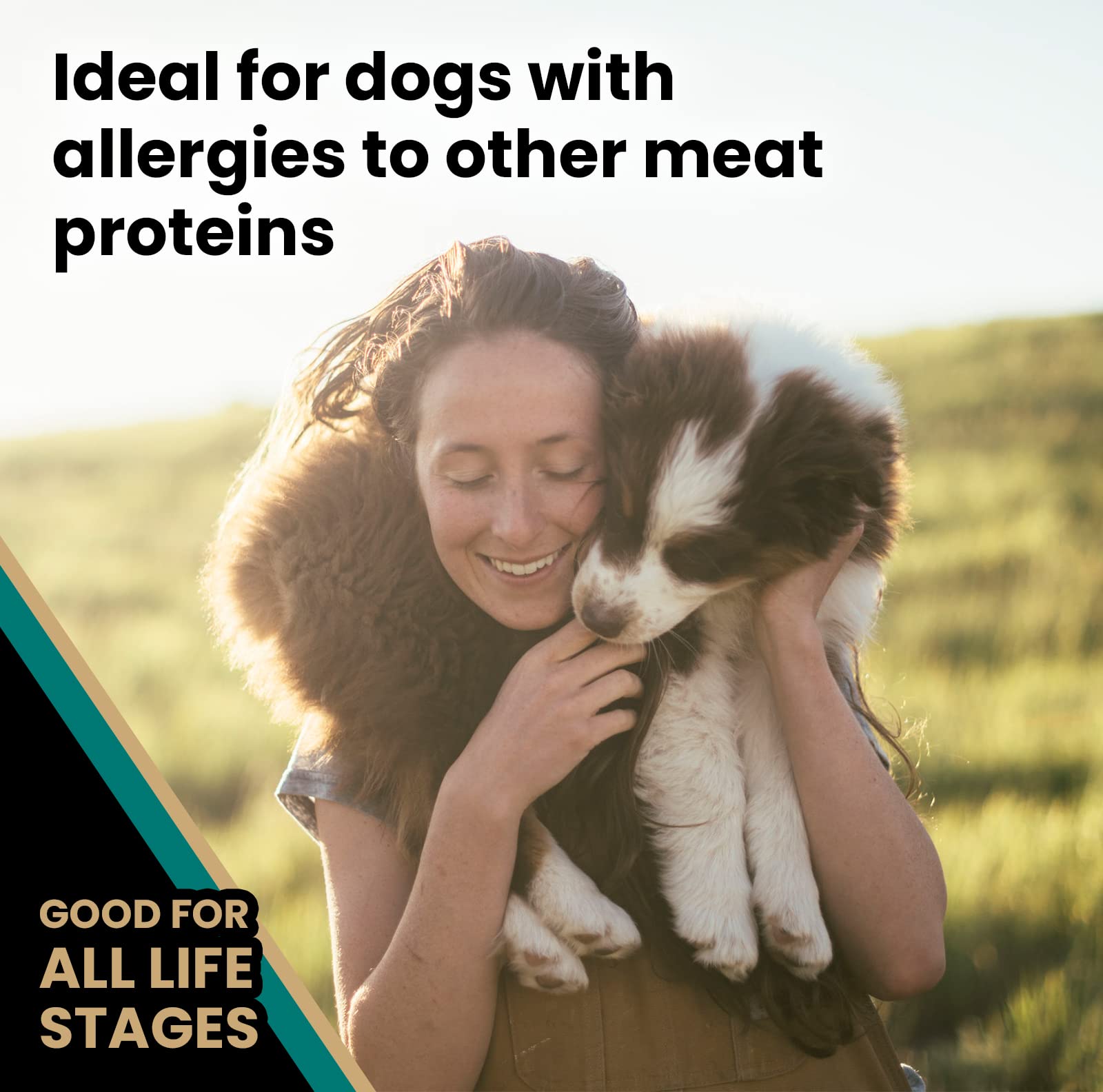 VICTOR Ocean Fish dry dog food formula featuring fish meal and salmon.