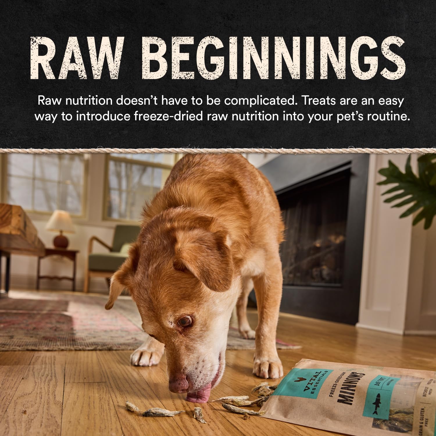 Vital Essentials rabbit dog treats stored in a pantry.