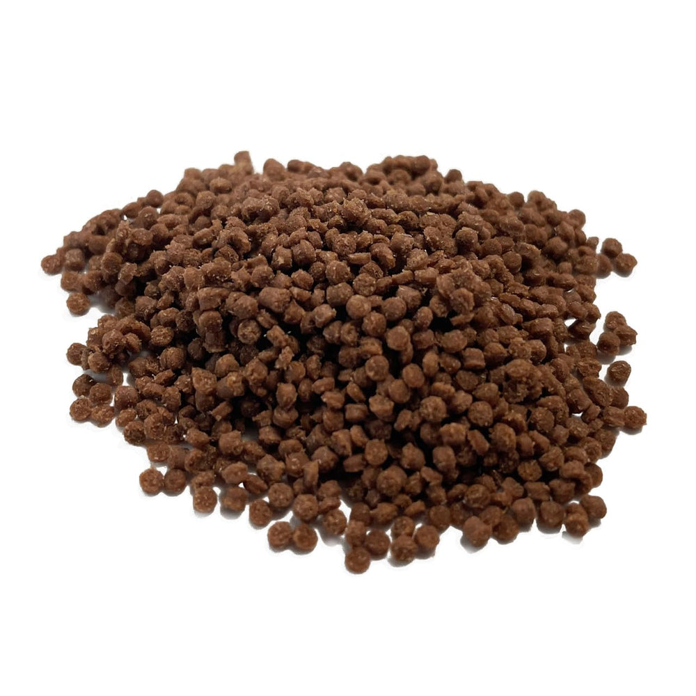 Vitalis Marine Anemone Pellets shown during feeding near an anemone.