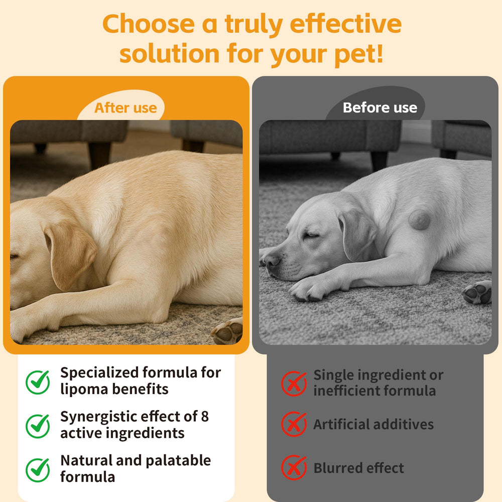Close-up view of the VivaElixir dog lipoma support supplement formula.