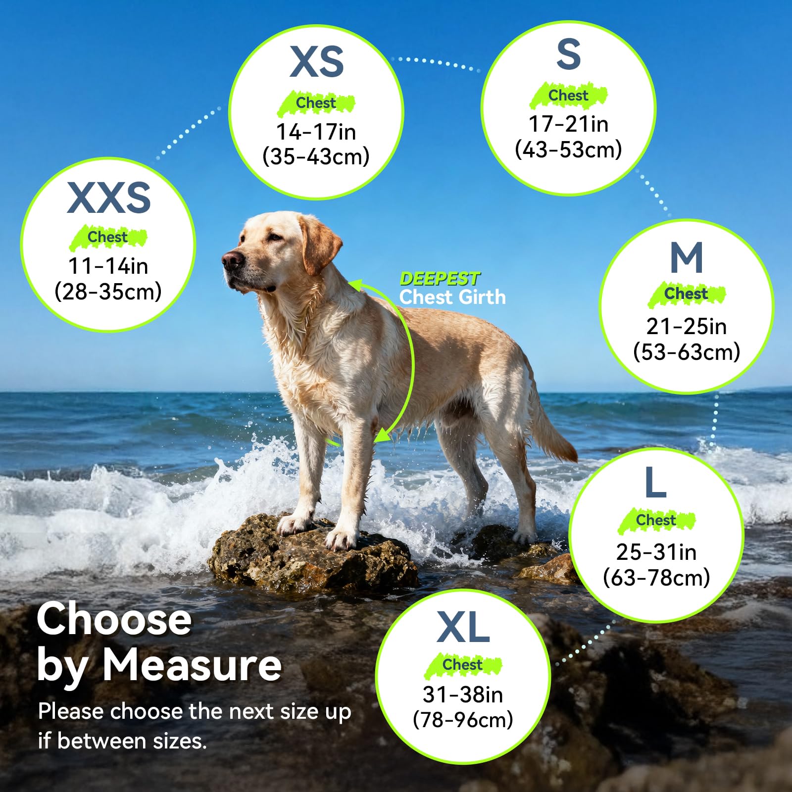 VIVAGLORY dog life vest showing the belly closure and fastening system.