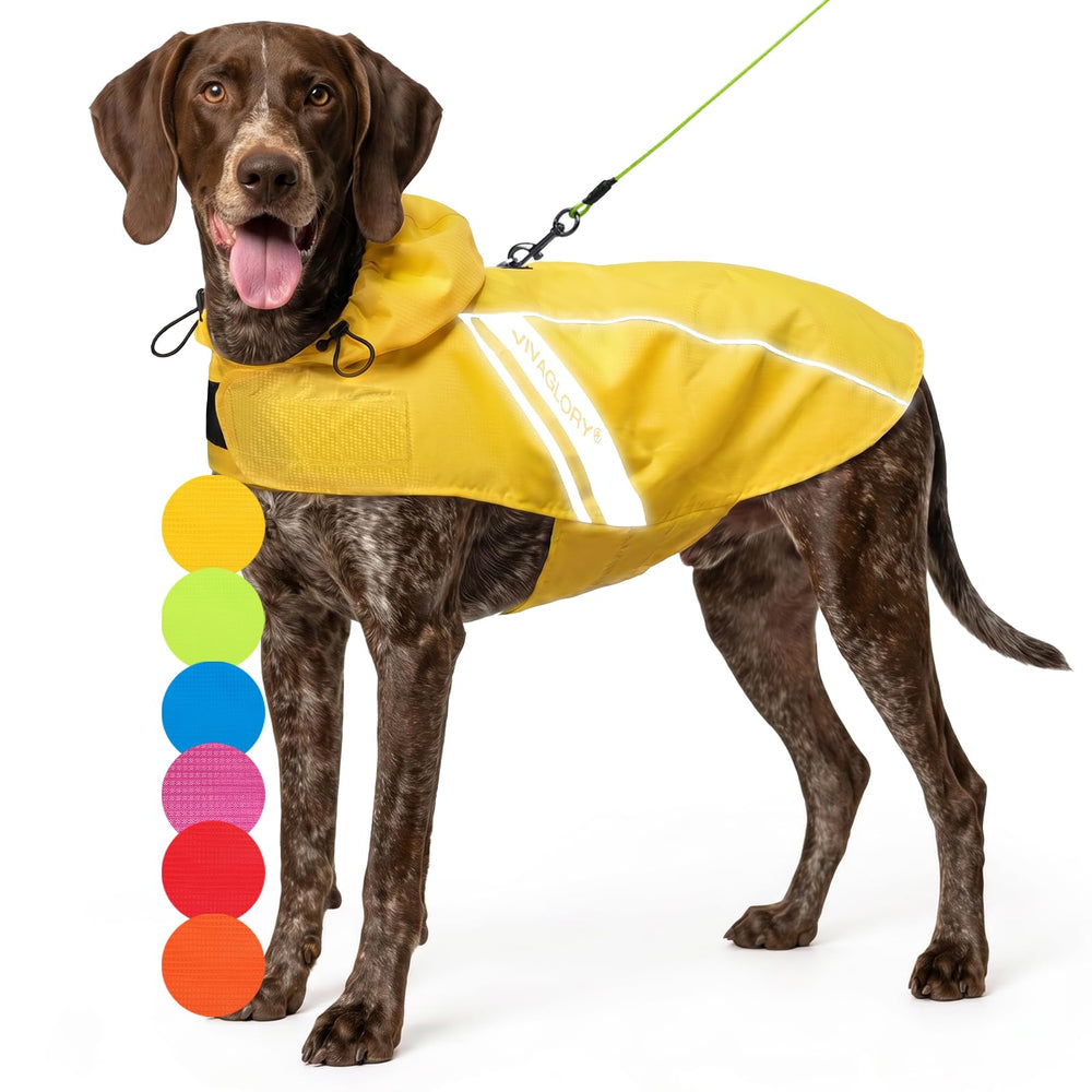 VIVAGLORY dog raincoat shown from the front in yellow.