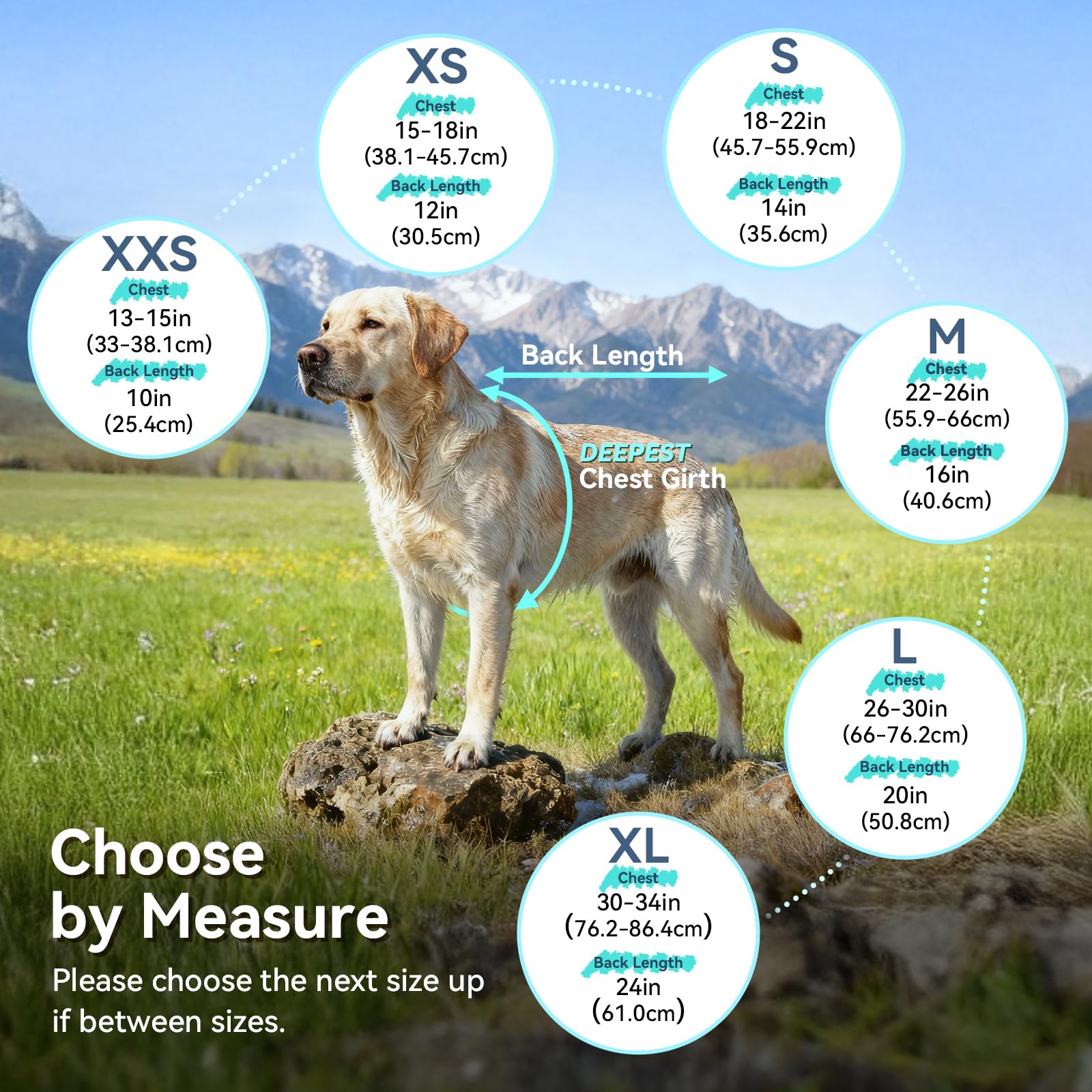 VIVAGLORY dog raincoat shown worn by a dog outdoors.