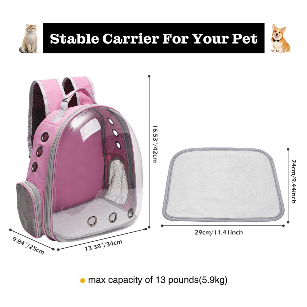 Vivicreate cat backpack carrier showing its base and scratch-resistant shell.