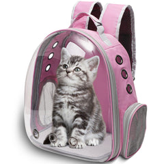 Vivicreate cat backpack carrier with its transparent bubble front in focus.