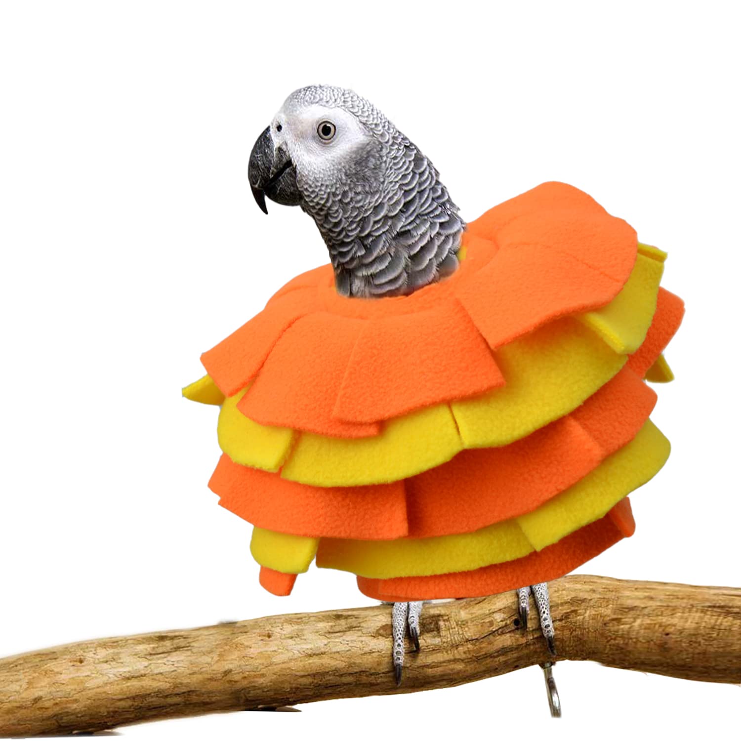 vomvomp bird collar shown from the front.
