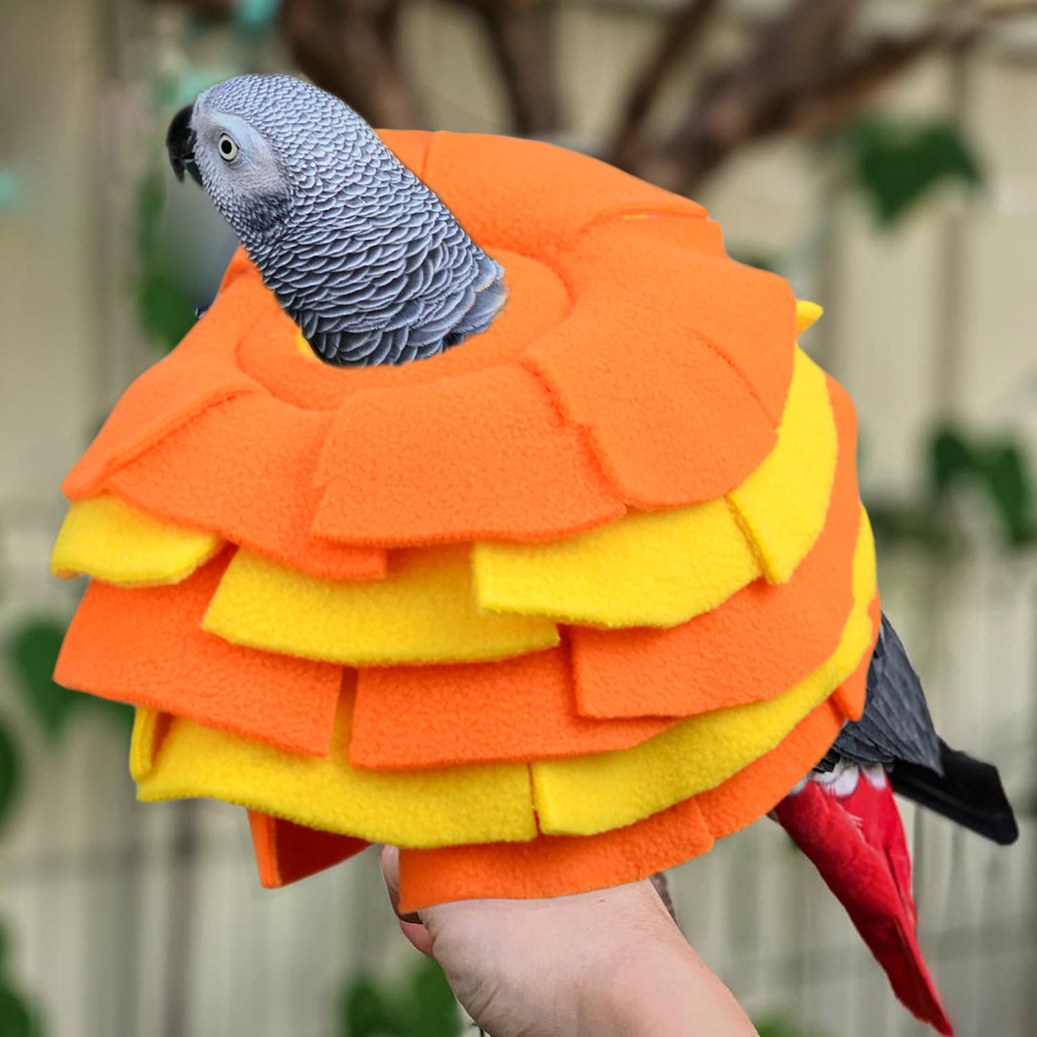 vomvomp bird collar shown to illustrate its slip-on design.