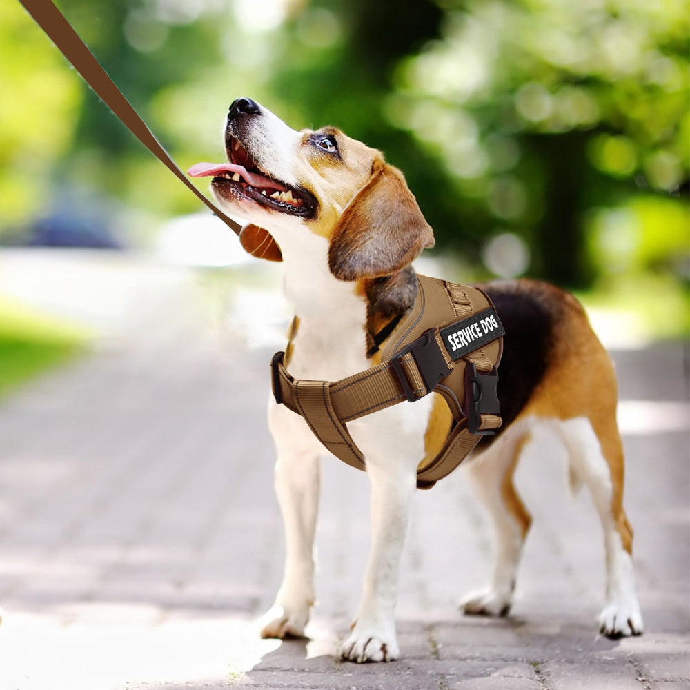 VOOPET emotional support dog harness showing its adjustable collar and chest straps.