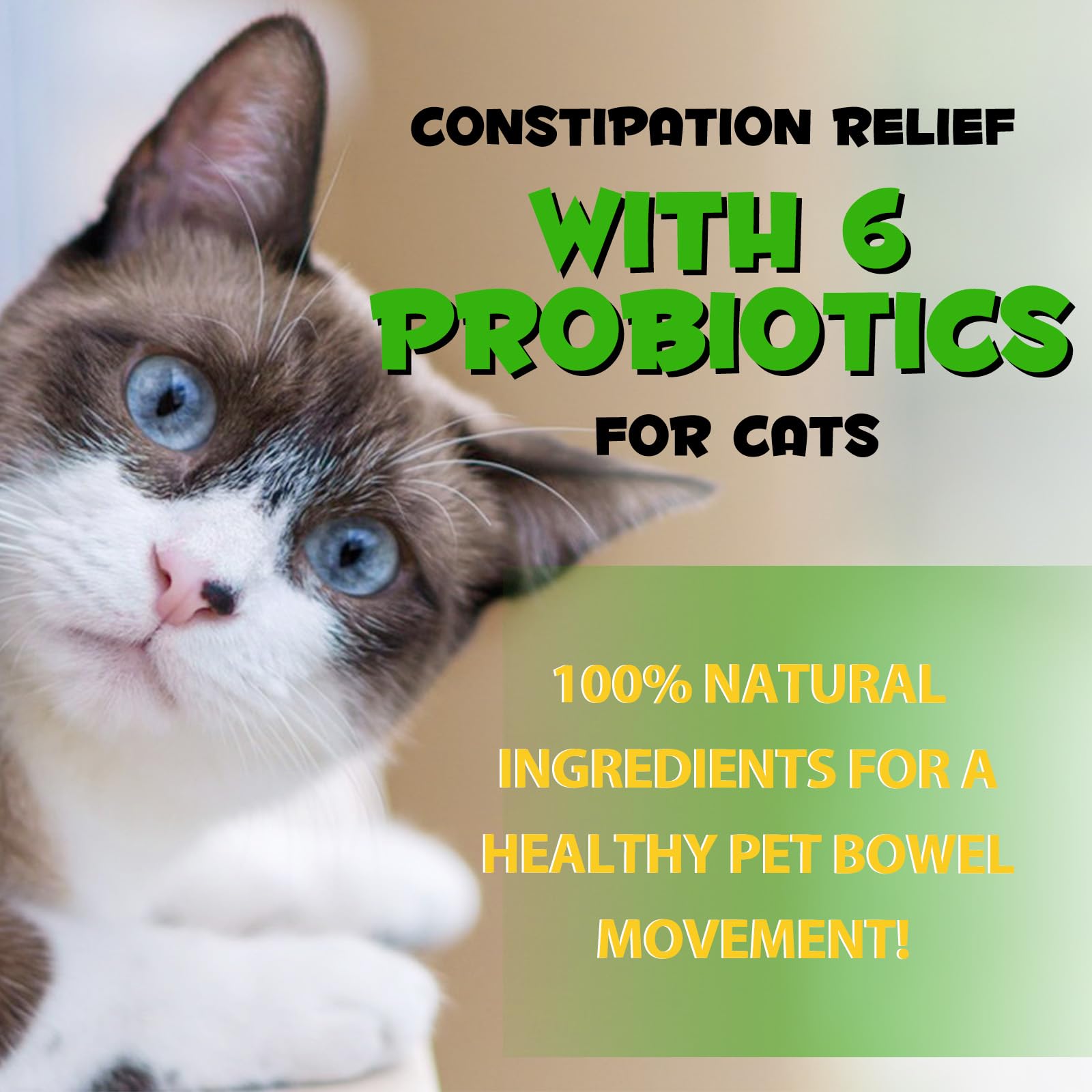 VOSIFSDIY Cat Constipation Relief given directly by mouth.