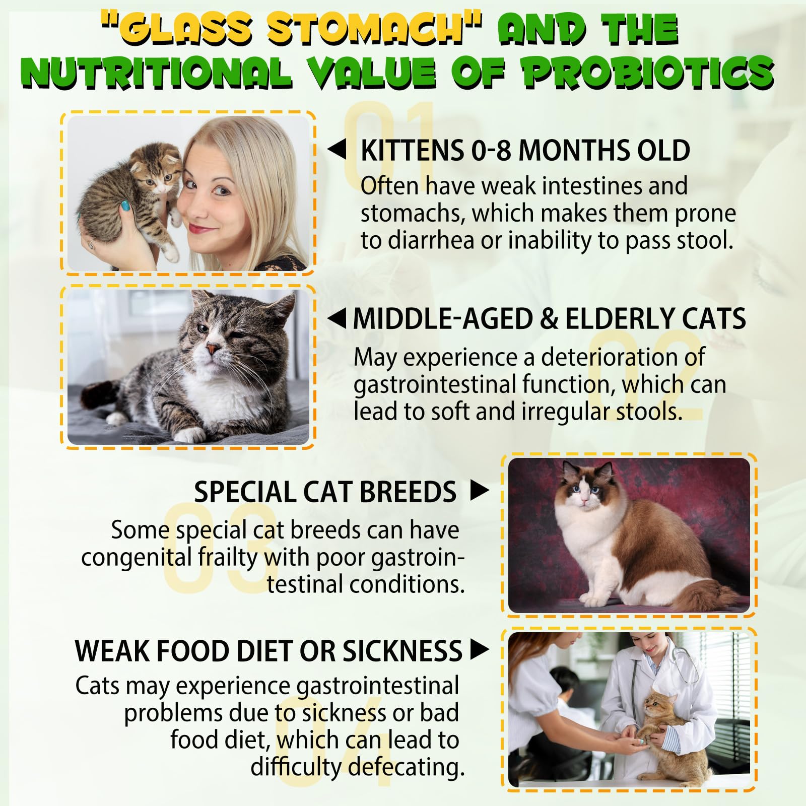 VOSIFSDIY Cat Constipation Relief liquid shown in detail.