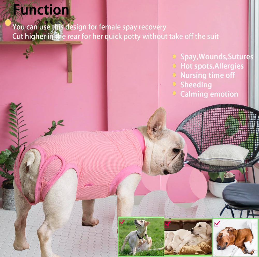 Wabdhaly dog recovery suit rear opening for bathroom breaks.