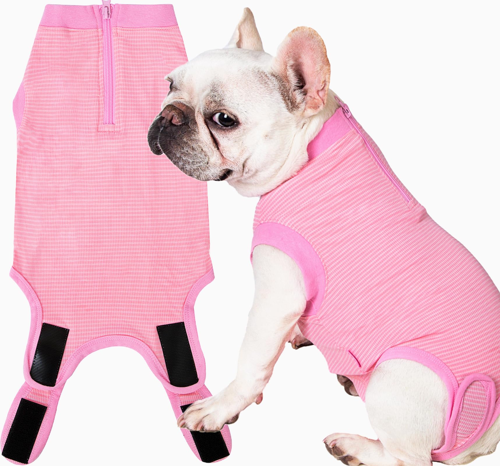 Wabdhaly female dog recovery suit shown from the front.