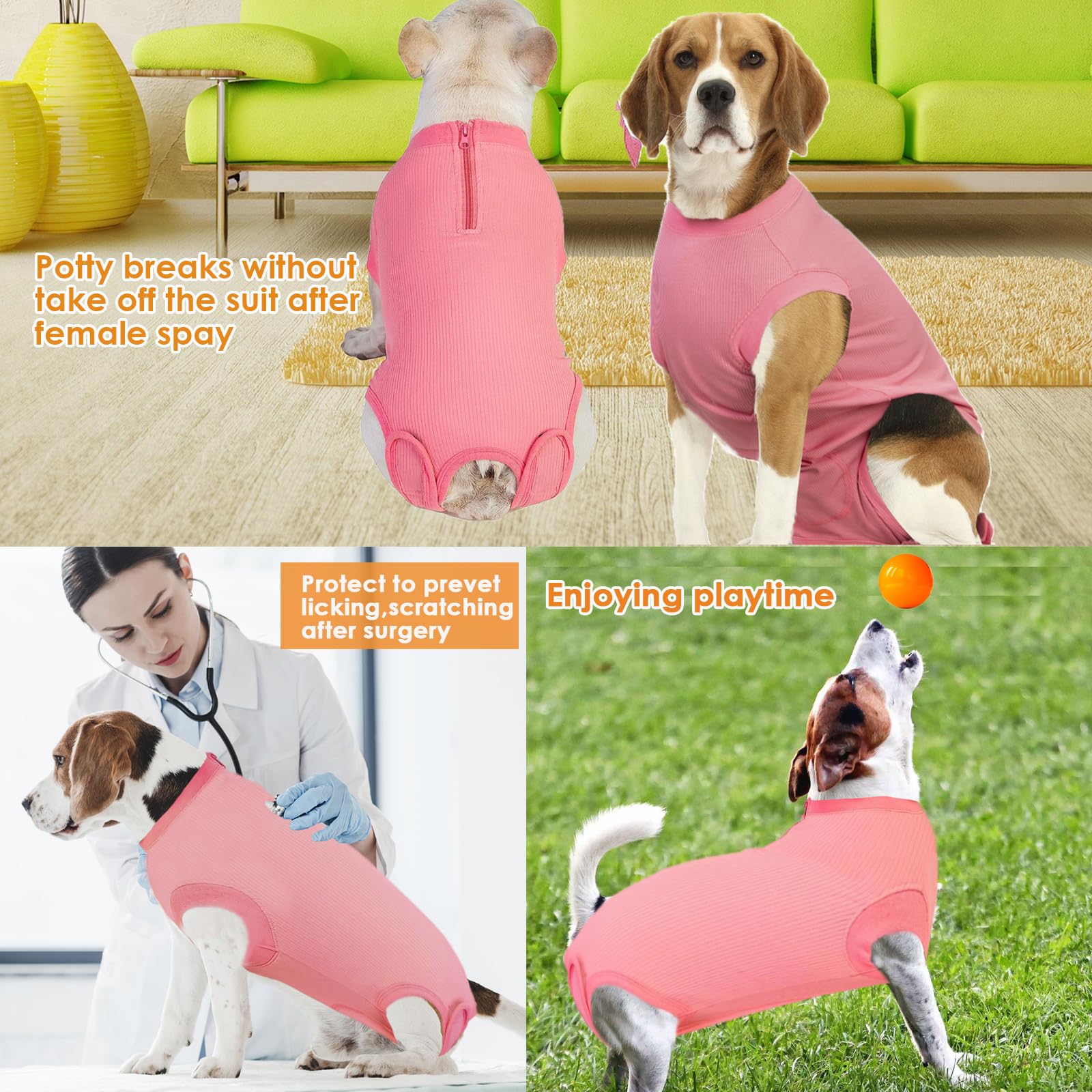 Wabdhaly female dog recovery suit shown on a dog during recovery.