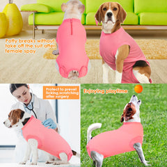 Wabdhaly female dog recovery suit shown on a dog during recovery.