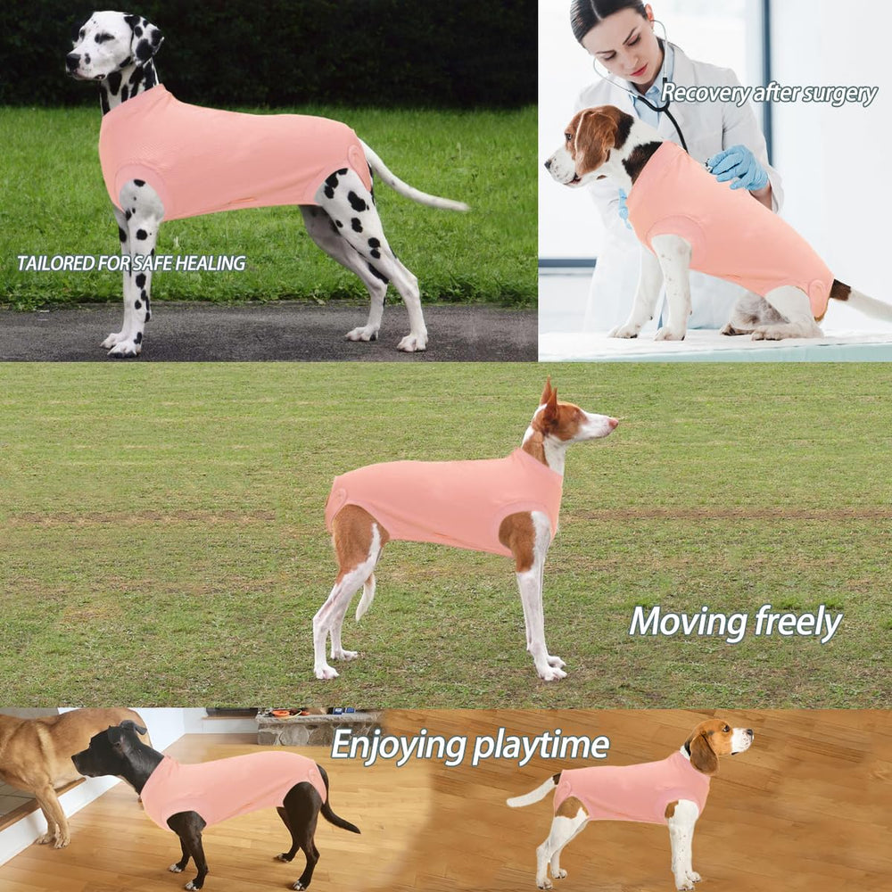 Wabdhaly dog recovery suit shown on a dog during recovery.