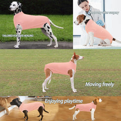 Wabdhaly dog recovery suit shown on a dog during recovery.