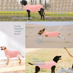 Wabdhaly dog recovery suit zipper and adjustable closure detail.