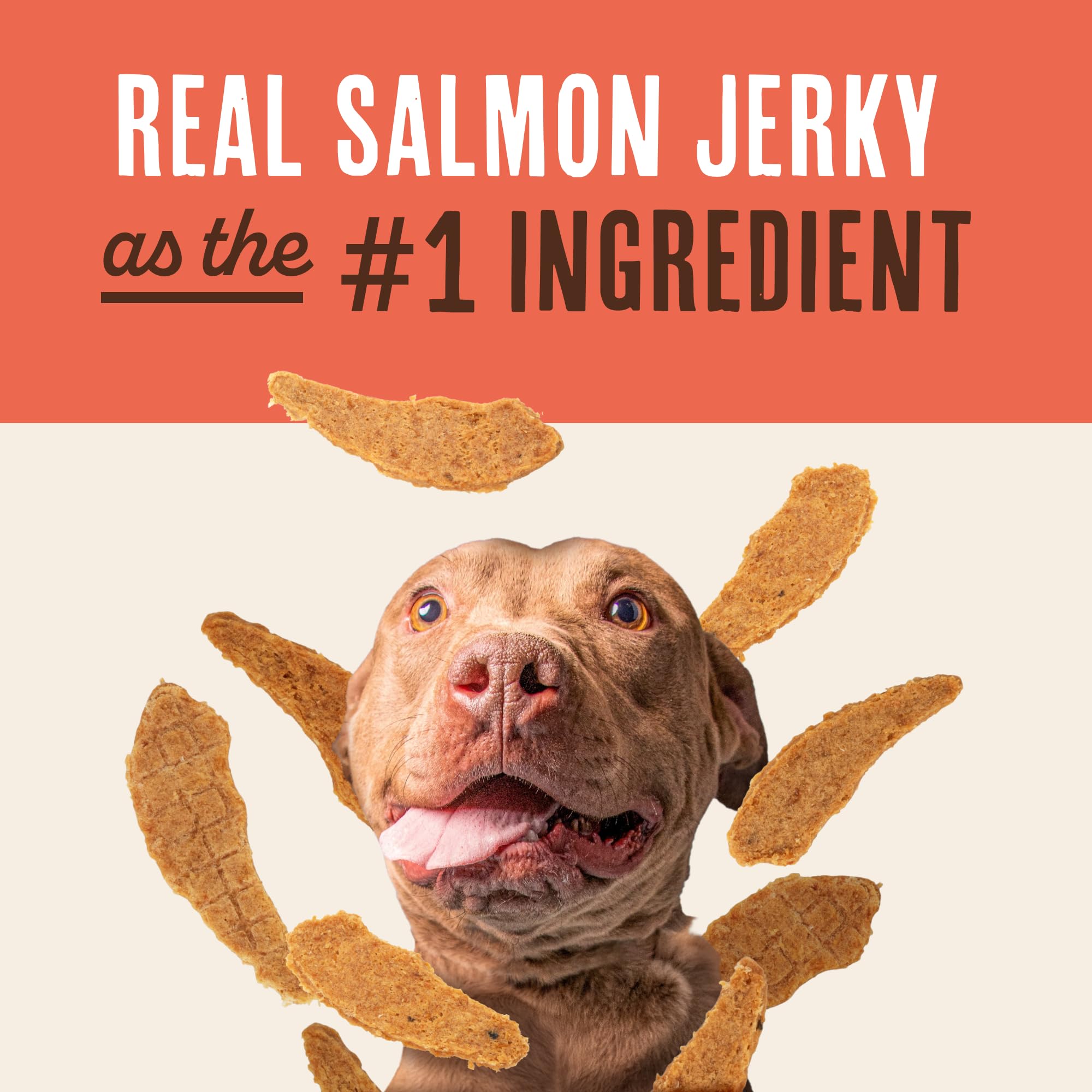 Waggin' Train Salmon Jerky Dog Treats pouch with salmon tenders.