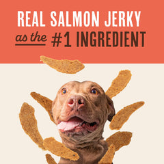 Waggin' Train Salmon Jerky Dog Treats pouch with salmon tenders.