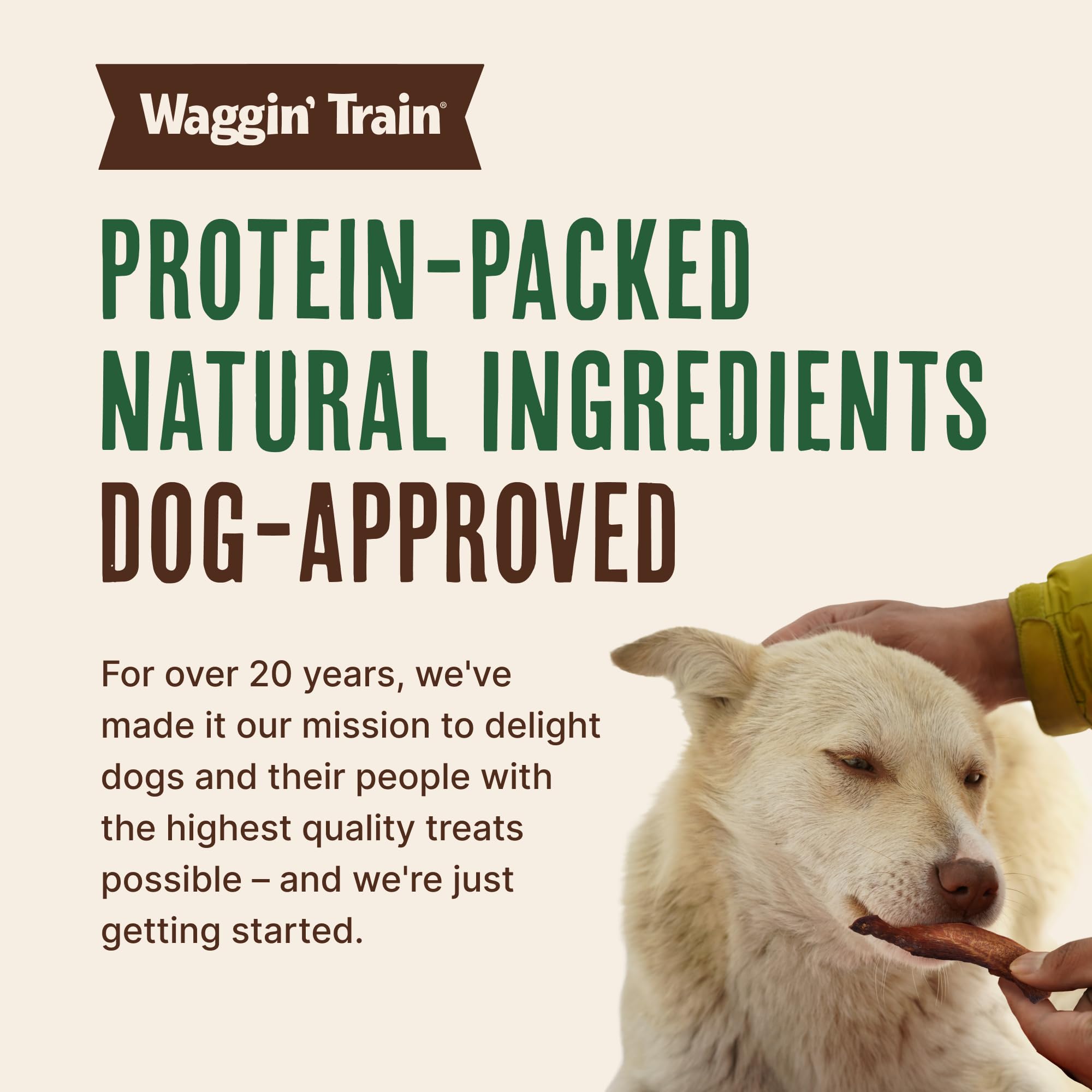 Waggin' Train Salmon Jerky Dog Treat tenders arranged for a product view.