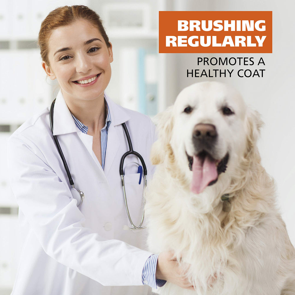 Wahl 2-in-1 pet rake shown in use while grooming a dog.