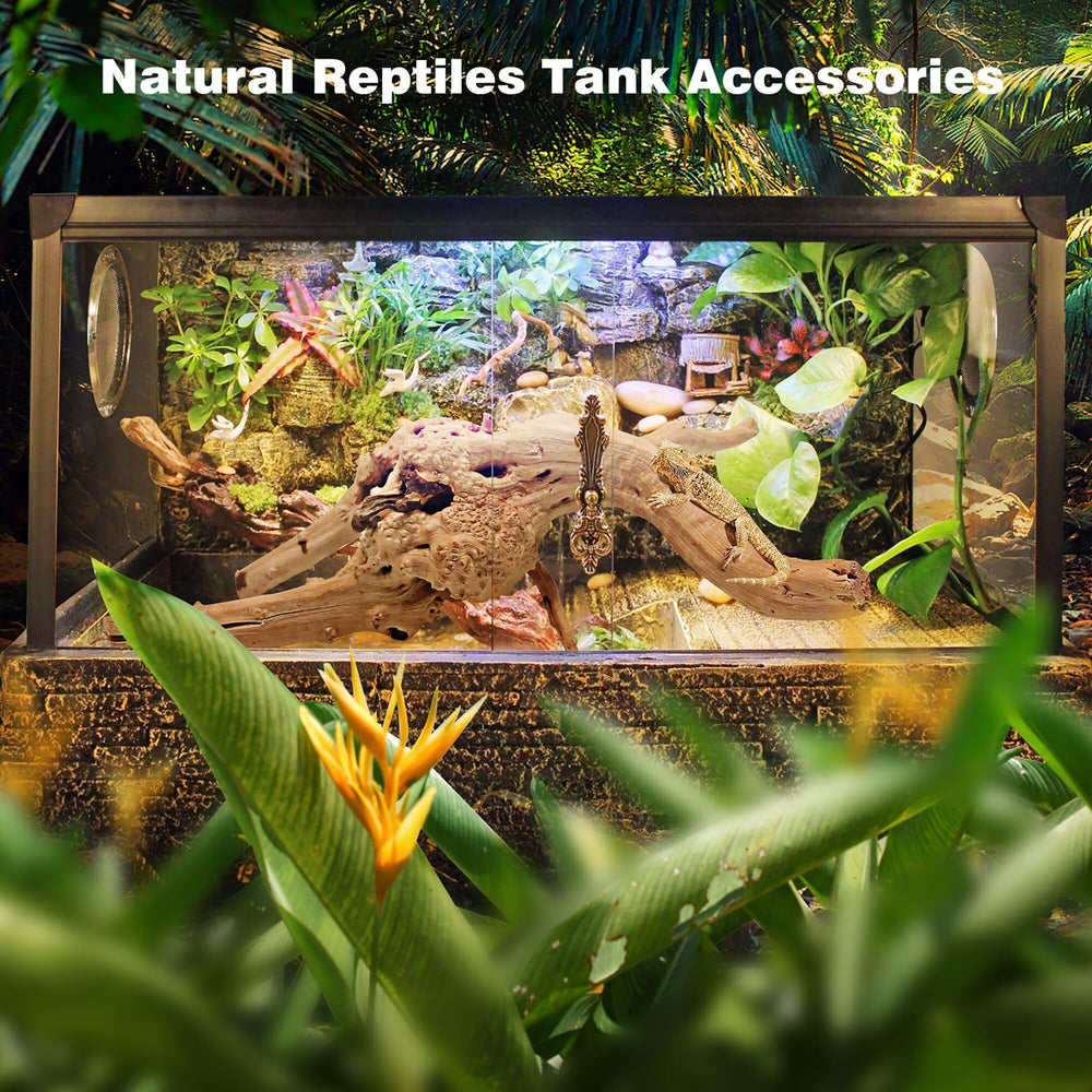WDEFUN natural spiderwood shown as a hiding feature for Betta fish and shrimp.