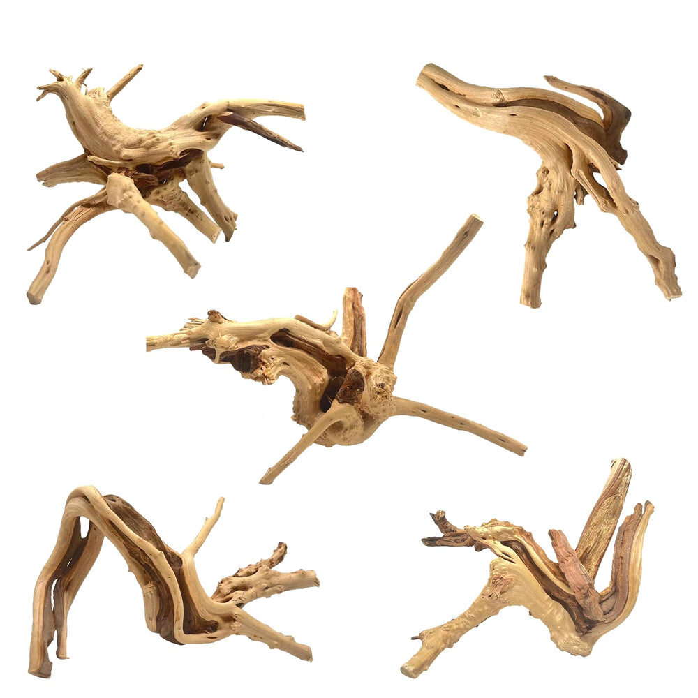 WDEFUN natural spiderwood branch set shown together as aquarium decor.